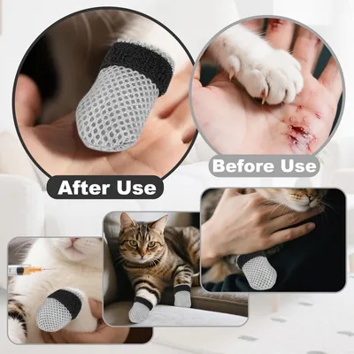 Pet Planet Chats Ensemble De Gants Pour Griffes