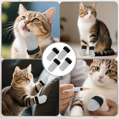 Pet Planet Chats Ensemble De Gants Pour Griffes