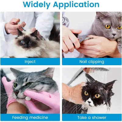 Pet Planet Chats Ensemble De Gants Pour Griffes