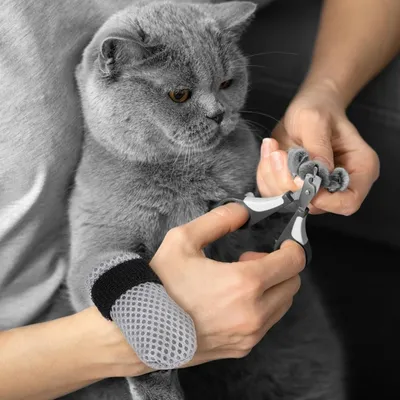 Pet Planet Chats Ensemble De Gants Pour Griffes
