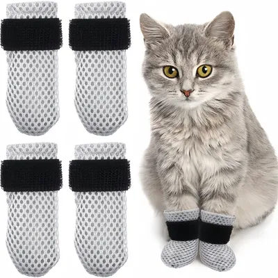 Pet Planet Chats Ensemble De Gants Pour Griffes
