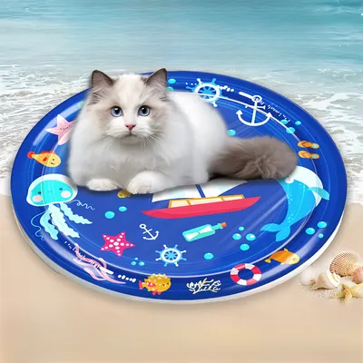 Pet Planet Matelas d'eau gonflable pour chien et chat