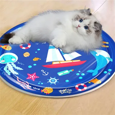 Pet Planet Matelas d'eau gonflable pour chien et chat