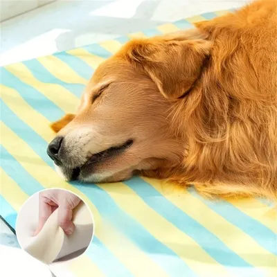 Pet Planet Matelas rafraîchissant pour chien et chat