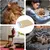 Tapis de refroidissement pour Chien et Chat