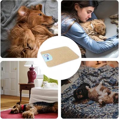 Tapis de refroidissement pour Chien et Chat