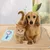 Tapis de refroidissement pour Chien et Chat