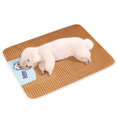 Tapis de refroidissement pour Chien et Chat