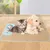 Tapis de refroidissement pour Chien et Chat