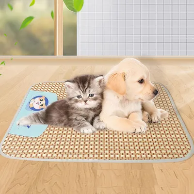 Tapis de refroidissement pour Chien et Chat