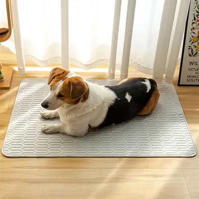IntiMeg Tapis rafraîchissant pour chien et chat