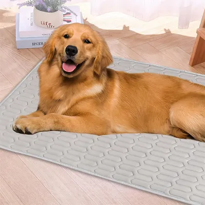 IntiMeg Tapis rafraîchissant pour chien et chat