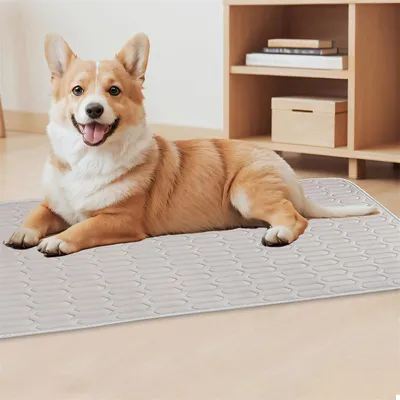 IntiMeg Tapis rafraîchissant pour chien et chat