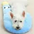 ZenPets Oreiller pour animaux de compagnie