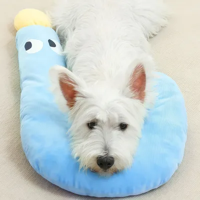 ZenPets Oreiller pour animaux de compagnie
