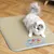 FurryFusion Tapis rafraîchissant pour chien Ice Cream