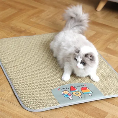 FurryFusion Tapis rafraîchissant pour chien Ice Cream