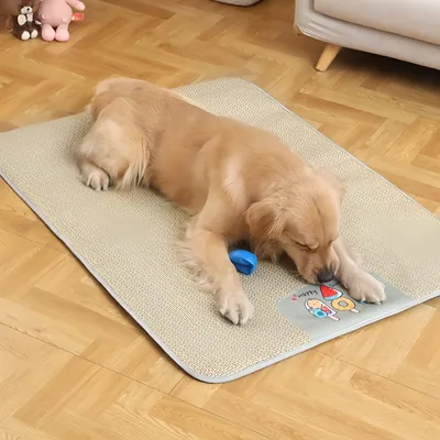 FurryFusion Tapis rafraîchissant pour chien Ice Cream