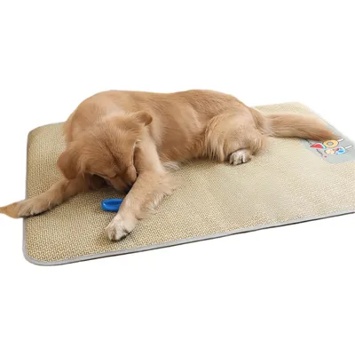 FurryFusion Tapis rafraîchissant pour chien Ice Cream