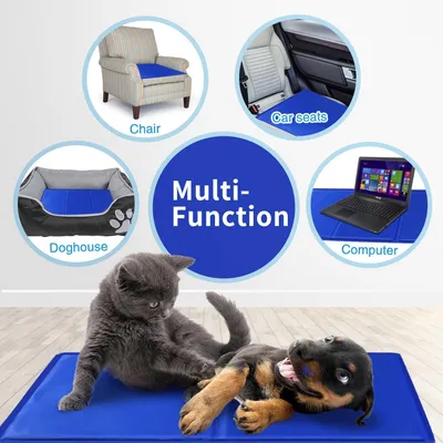 Tapis rafraîchissant en gel pour chien Tapis rafraîchissant en gel pour chien