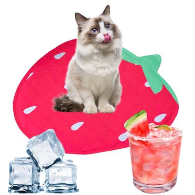 IntiMeg Tapis rafraîchissant pour chat