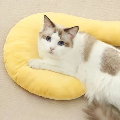 ZenPets Oreiller pour animaux de compagnie