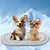 Pet Planet Matelas de refroidissement pour animaux de compagnie