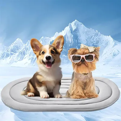 Pet Planet Matelas de refroidissement pour animaux de compagnie
