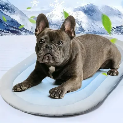 Pet Planet Matelas de refroidissement pour animaux de compagnie