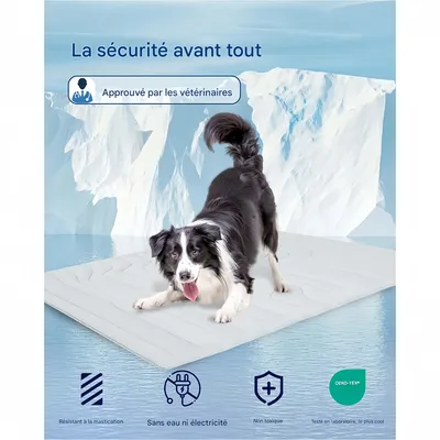 Pet Planet Tapis rafraîchissant pour chiens et chats Pet Planet Tapis rafraîchissant pour chiens et chats