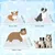 Pet Planet Tapis rafraîchissant pour chiens et chats Pet Planet Tapis rafraîchissant pour chiens et chats