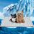 Pet Planet Tapis rafraîchissant pour chiens et chats