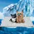 Pet Planet Tapis rafraîchissant pour chiens et chats Pet Planet Tapis rafraîchissant pour chiens et chats