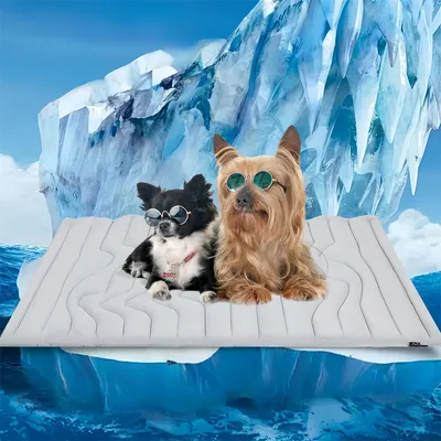 Pet Planet Tapis rafraîchissant pour chiens et chats Pet Planet Tapis rafraîchissant pour chiens et chats