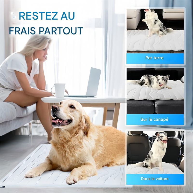 Pet Planet Tapis rafraîchissant pour chiens et chats
