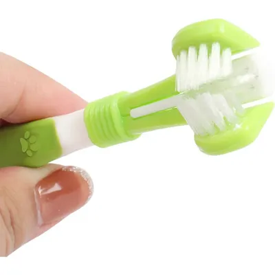 Pet Planet Chiens Et Chats Kit De Deux Brosse A Dents Pour Animaux
