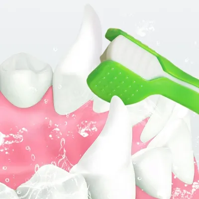 Pet Planet Chiens Et Chats Kit De Deux Brosse A Dents Pour Animaux