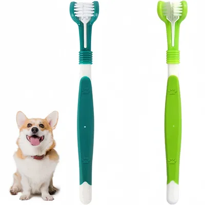 Pet Planet Chiens Et Chats Kit De Deux Brosse A Dents Pour Animaux