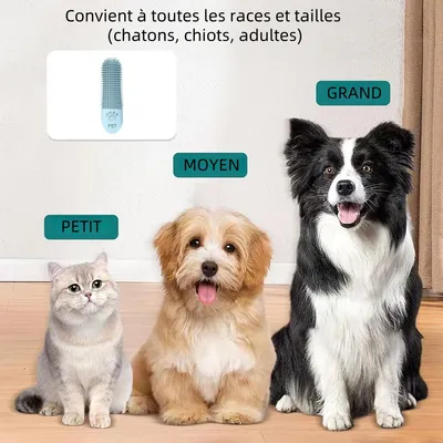 Pet Planet Chiens Kit De Trois Brosse A Dents En Silicone Pour Animaux
