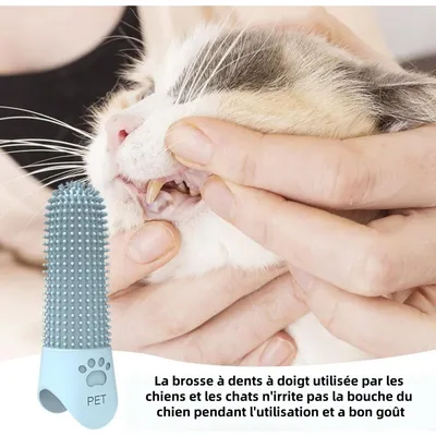 Pet Planet Chiens Kit De Trois Brosse A Dents En Silicone Pour Animaux