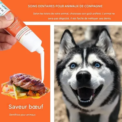 Pet Planet Chiens Et Chats Soins Dentaires Pour Animaux De Compagnie