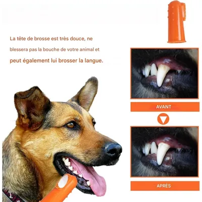 Pet Planet Chiens Et Chats Soins Dentaires Pour Animaux De Compagnie
