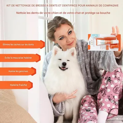 Pet Planet Chiens Et Chats Soins Dentaires Pour Animaux De Compagnie