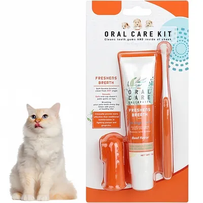 Pet Planet Chiens Et Chats Soins Dentaires Pour Animaux De Compagnie