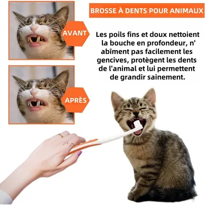 Pet Planet Chiens Et Chats Soins Dentaires Pour Animaux De Compagnie