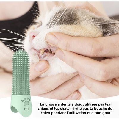 Pet Planet Chiens Kit De Trois Brosse A Dents En Silicone Pour Animaux