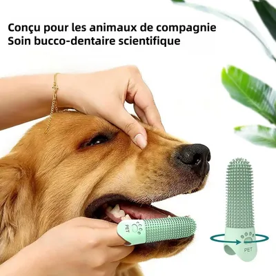 Pet Planet Chiens Kit De Trois Brosse A Dents En Silicone Pour Animaux