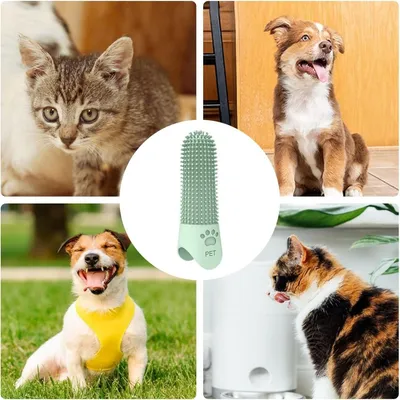 Pet Planet Chiens Kit De Trois Brosse A Dents En Silicone Pour Animaux