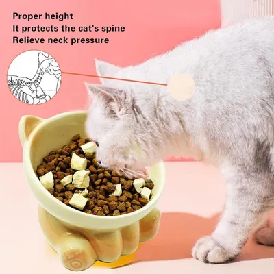 Petopia Gamelle surélevée pour chat