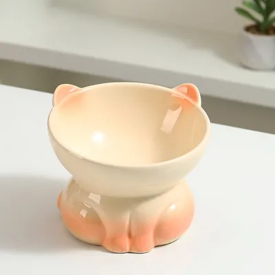 Petopia Gamelle surélevée pour chat